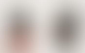 Untitled; and Untitled, from Untitled (Crommelynck portfolio of 4) (preview)