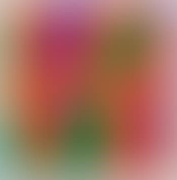 Zinnia, from Garden of Love (preview)