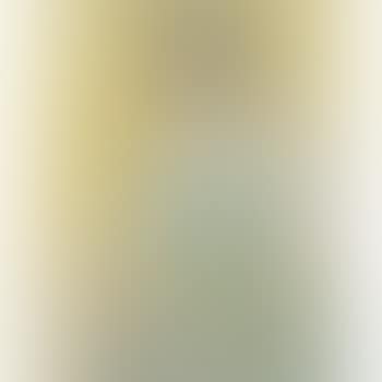 Portrait of a lady (preview)