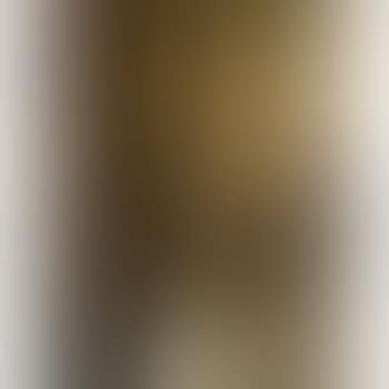 Study for a painting (preview)
