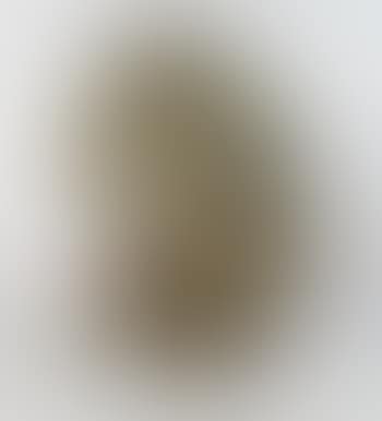 Selbstbildnis (Kallir 4 f) (preview)