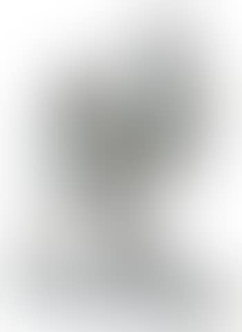 [Untitled] (preview)
