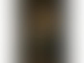 Portrait of Mrs W F Burton (preview)