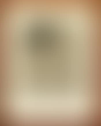 Portrait of the artist's mother (preview)