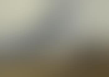 View of Paris from Montmartre (preview)