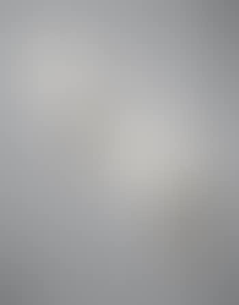 Pair of large four-armed wall lights (preview)