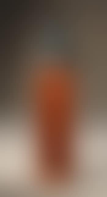 Bust of Dr. Martin Luther King, Jr. (preview)