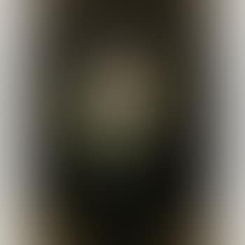 Portrait of Frances, Lady Robinson, half-length, in a black dress and hat, within a painted oval (preview)