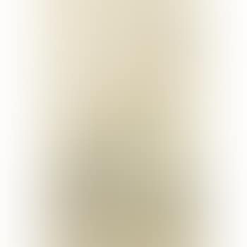 Study of a spoonbill crane (preview)