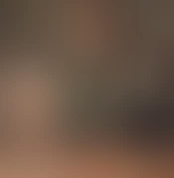 An Allegory of Youth and Old Age (preview)