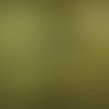 A still life n°3 (preview)