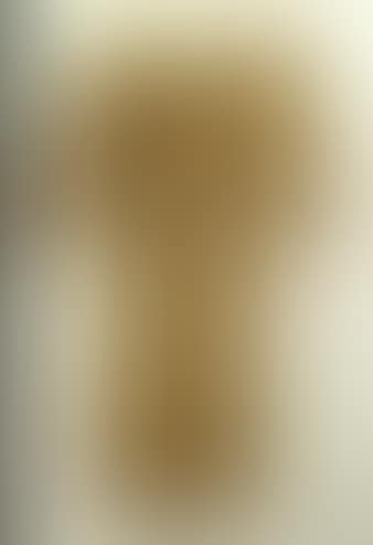 Hemd mit Maische (preview)