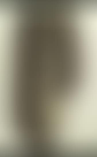 Hose mit Blut (preview)