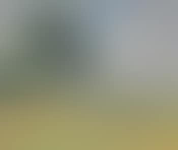 Paysage près de Méréville (preview)