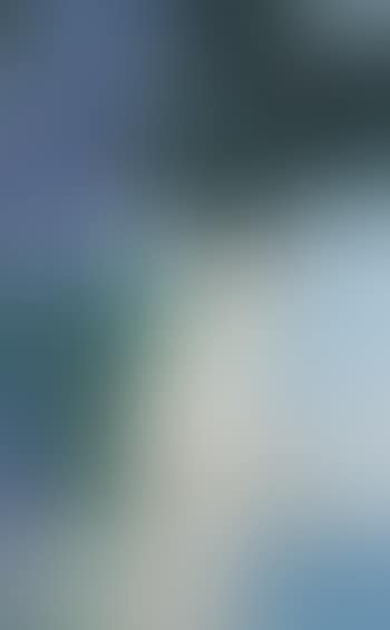 La dame blanche (preview)