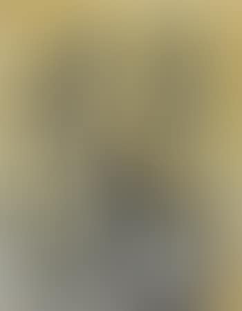 Tournesols (preview)