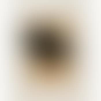 Two Images (preview)