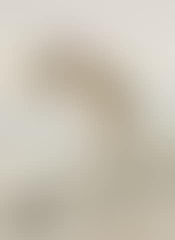 A pale kangaroo mouse (Microdipodops pallidus) (preview)