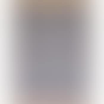 Jasper Johns Shade, 1959, 1967 (preview)