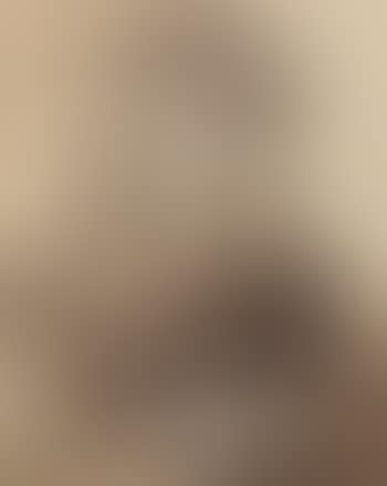 Portrait of a man, after Joos van Cleve (preview)