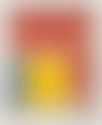 Exposition Vallauris (preview)