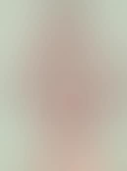 Il nudo (preview)