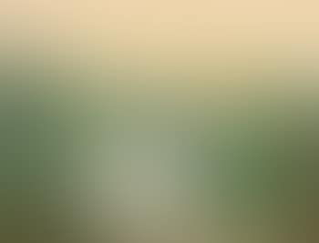 Untitled (Landscape With Waterfall) (preview)