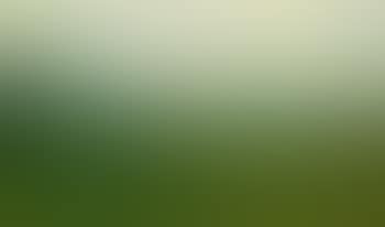 Landscape (preview)