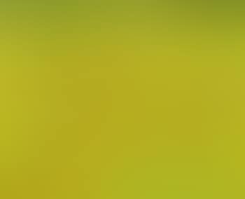 Hawkweed (preview)