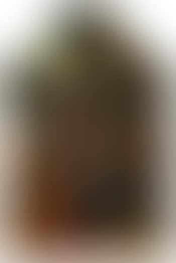 Adoration of The Magi (preview)