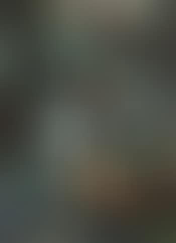 De tuinier (preview)