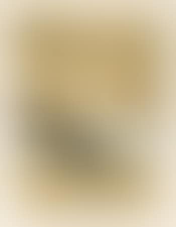 Zonder titel (preview)