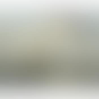Dutch vessels in a calm (preview)
