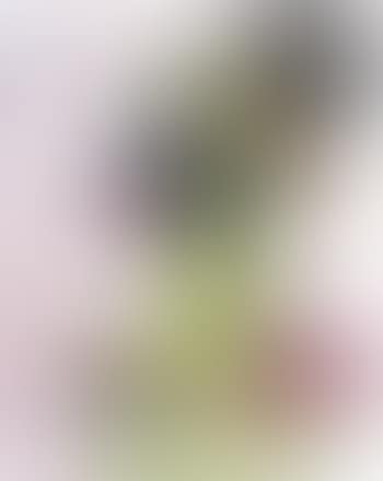 Bat Nose (preview)