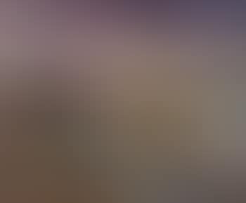 Paysage (preview)