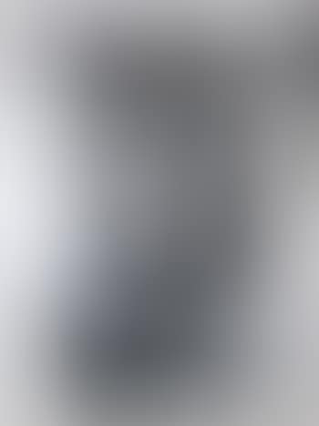Volto (preview)