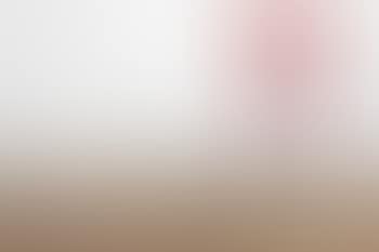Table Displaying Gifts from the Landlord and Working Papers (preview)