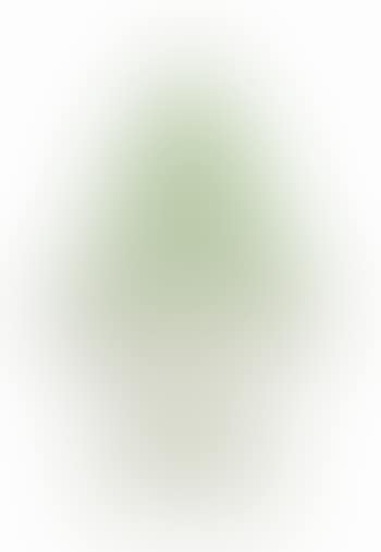 Nevergreen (preview)