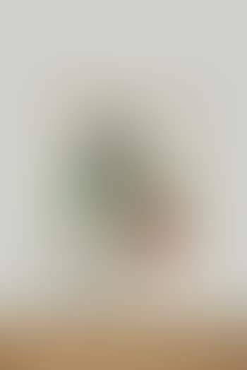 Bergerie (preview)