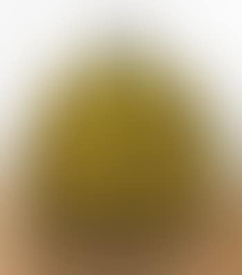 Pumpkin (preview)