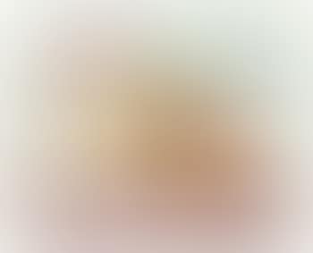 Still Life (preview)