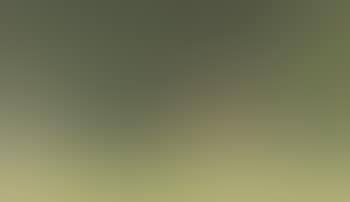 Cow in Pasture (preview)