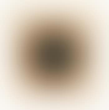A warm sound in a Gray Field (preview)