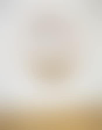 Flower Drawing (Orange) (preview)