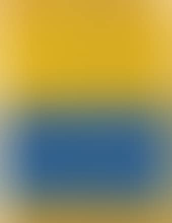 UNTITLED (YELLOW AND BLUE) (preview)