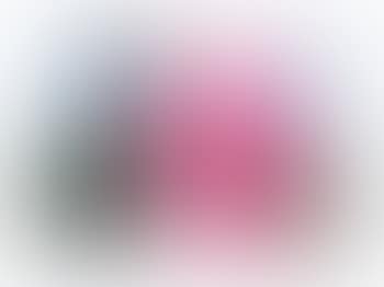 Counter Skin In Recklinghausen (preview)