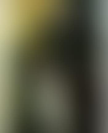 Flowers in a modern pitcher (preview)