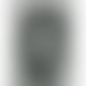 Untitled (Sf-314) (preview)