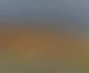Golden Fall (preview)