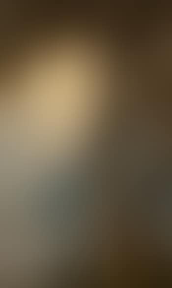 Louisiana landscape (preview)